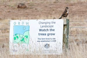 Grow West sign